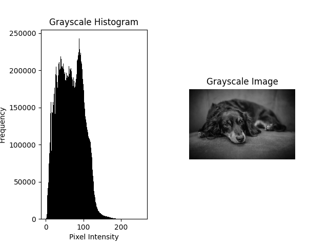 Grayscale Histogram