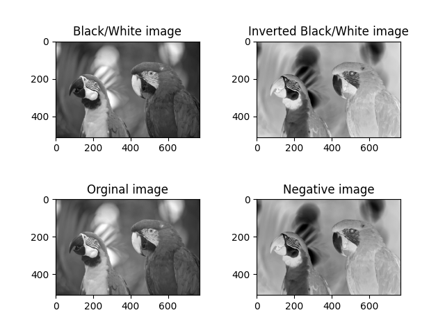 Negative & Inverted Example