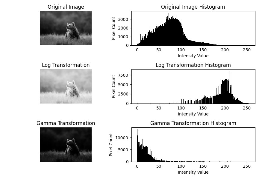 Log and Gamma Transformation Example